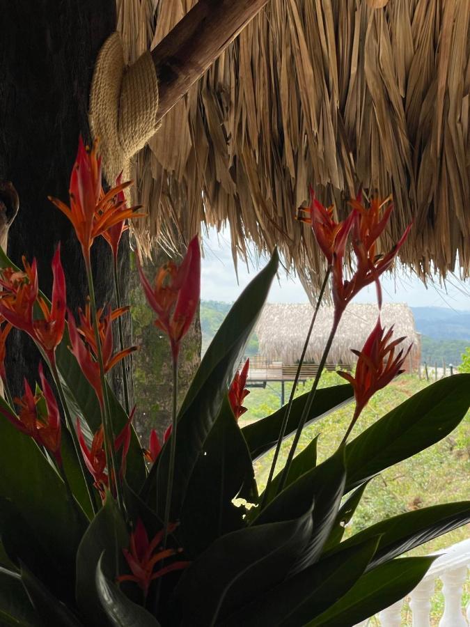 La Manola Finca Hotel Doradal Eksteriør bilde
